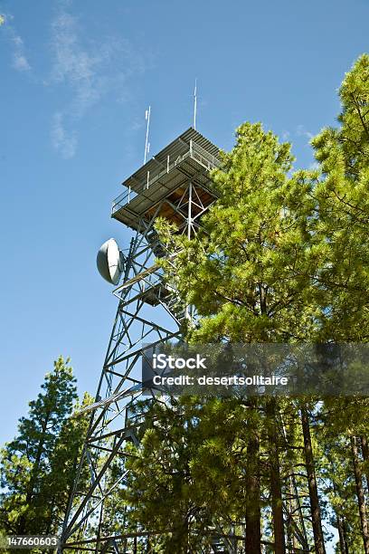 Gentry Fire Lookout Tower Stock Photo - Download Image Now - Arizona, Blue, Forest