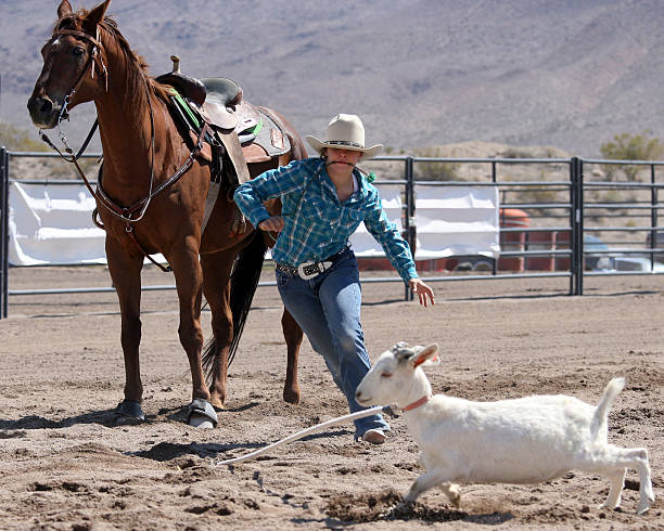 Fotografía deportiva de cabra Roping Cowgirl Rodeo - foto de stock