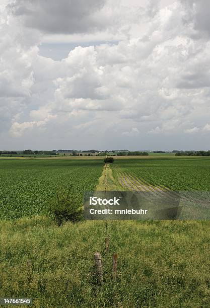 Fencelines Obszarów Wiejskich - zdjęcia stockowe i więcej obrazów Bez ludzi - Bez ludzi, Bezchmurne niebo, Chmura