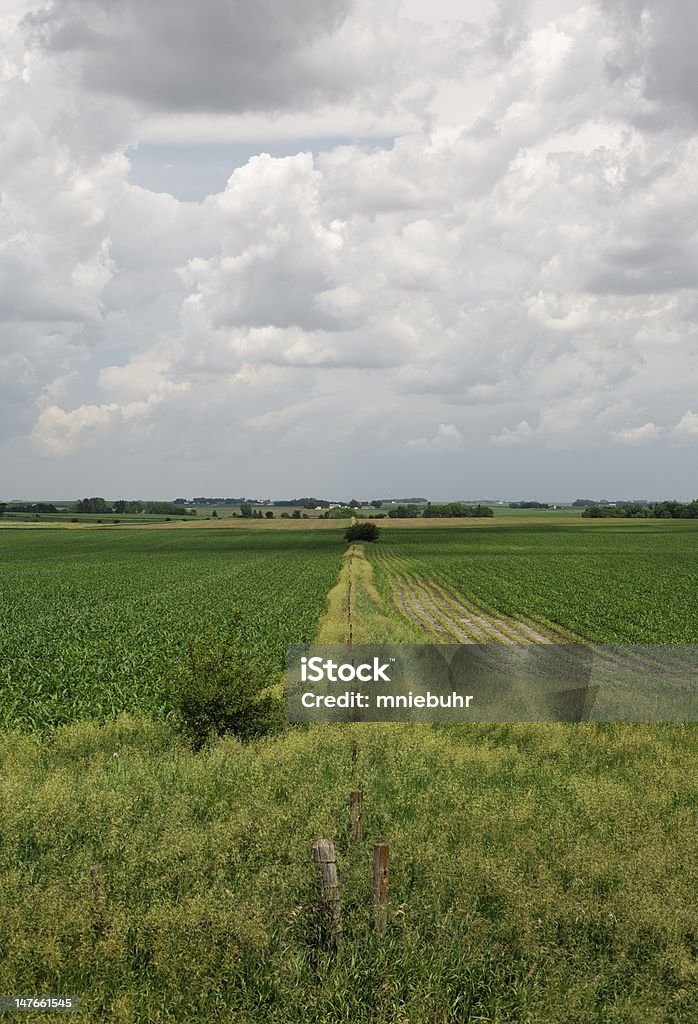 Fencelines Rural - Foto de stock de Agricultura royalty-free