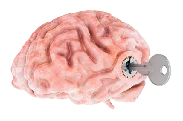 istock Human brain with key. Research and diagnosis concept. 3D rendering 1476616057
