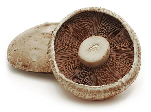 istock Portabello Mushrooms 147661626