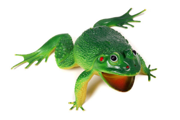 toy green frog isolated on white background