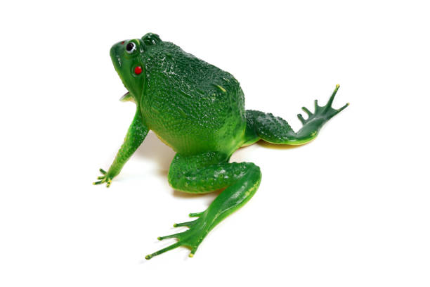 istock toy green frog isolated on white background 1476621793