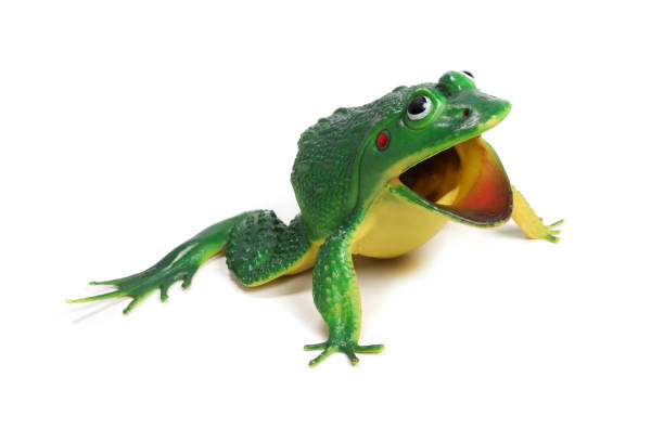 istock toy green frog isolated on white background 1476621806