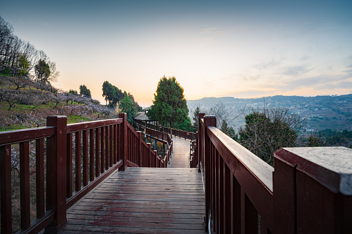 Sunny day, sunrise in the mountains