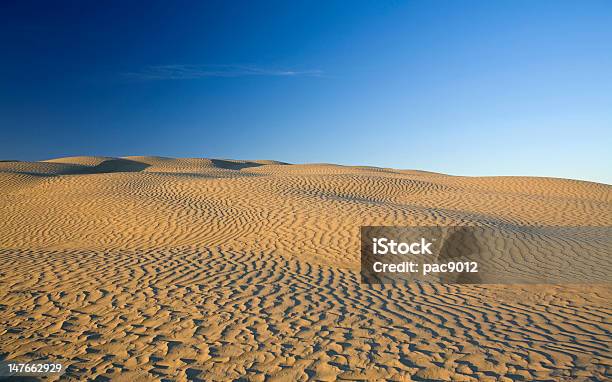 Photo libre de droit de Canadian Dunes De Sable banque d'images et plus d'images libres de droit de Saskatchewan - Saskatchewan, Désert, Dune de sable