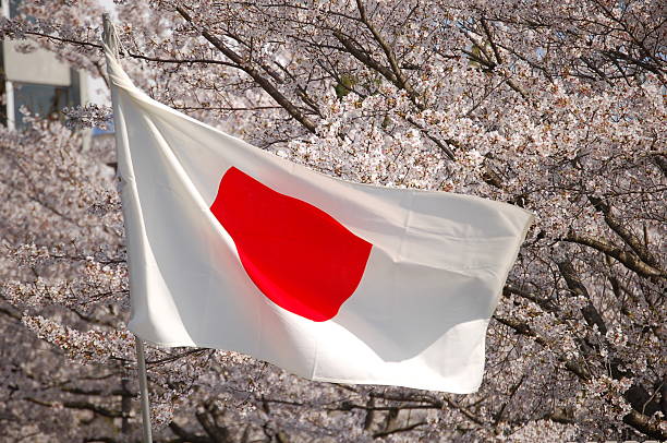 istock Japan and Cherry Blossoms 147663893