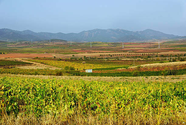 The plains and rolling hills of central Spain near Zaragoza are mainly agricultural lands.