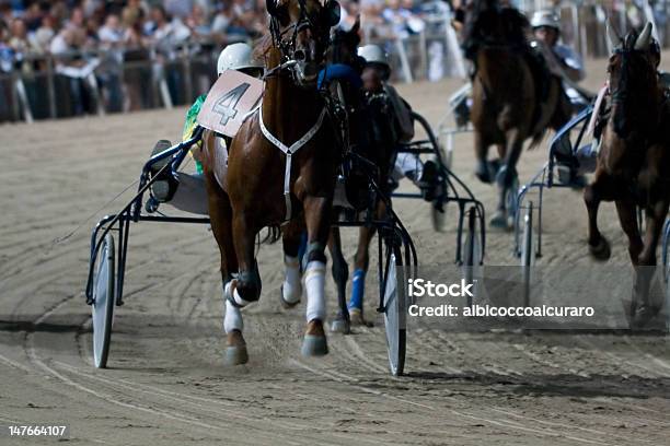 Pferderennen Race Stockfoto und mehr Bilder von Erster Platz - Erster Platz, Fotografie, Geschwindigkeit