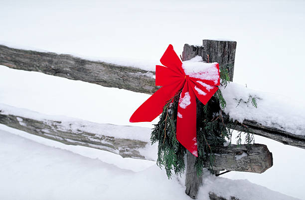 Red Bow on Country Fence
