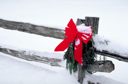 Christmas bow on a country fence in the winter in rural Ontario