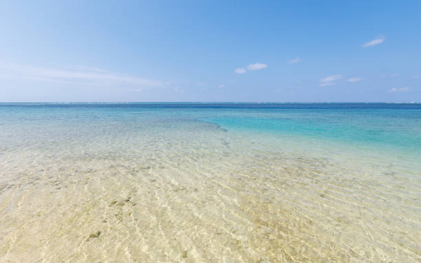 istock Sea of okinawa 1476650777