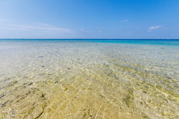 istock Sea of okinawa 1476650778