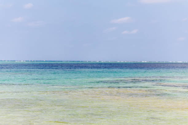 istock Sea of okinawa 1476651308