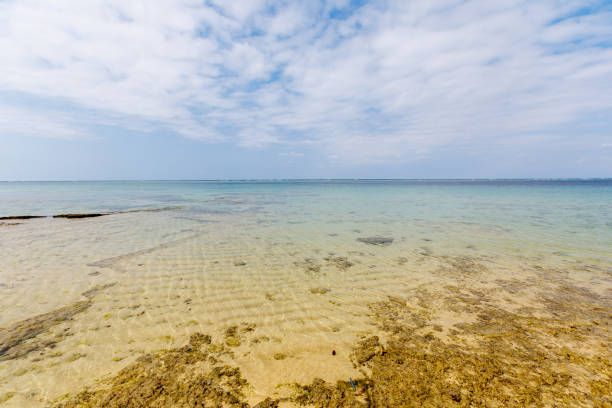 istock Sea of okinawa 1476651881