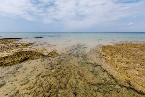 istock Sea of okinawa 1476651883
