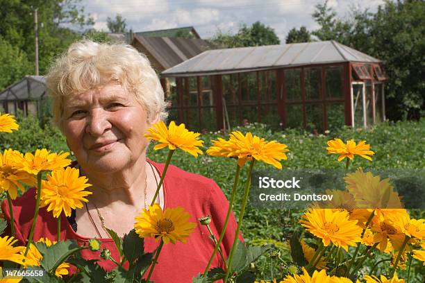 Abuela En El Jardín Foto de stock y más banco de imágenes de 60-64 años - 60-64 años, 70-79 años, Abuela