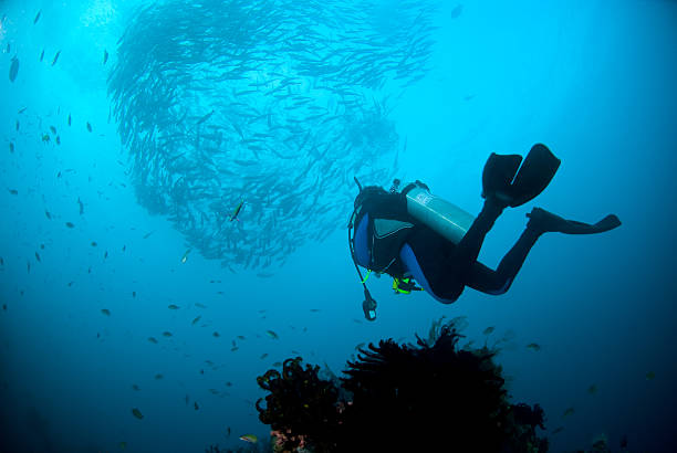 istock Daily scene in bali 147666046
