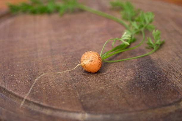 marchewka mini na deska do krojenia - baby carrot zdjęcia i obrazy z banku zdjęć