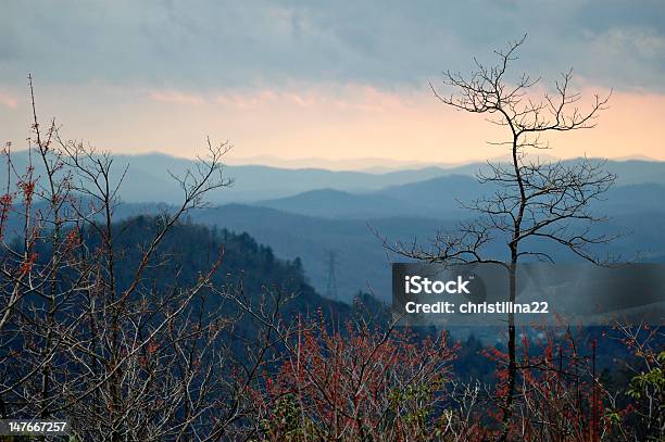 Montagne Al Tramonto - Fotografie stock e altre immagini di Albero - Albero, Ambientazione esterna, Appalachia