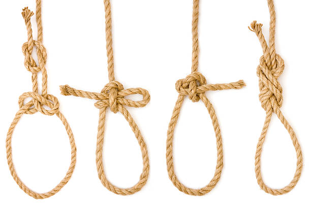 istock Arrangement of four rope nooses 147667677