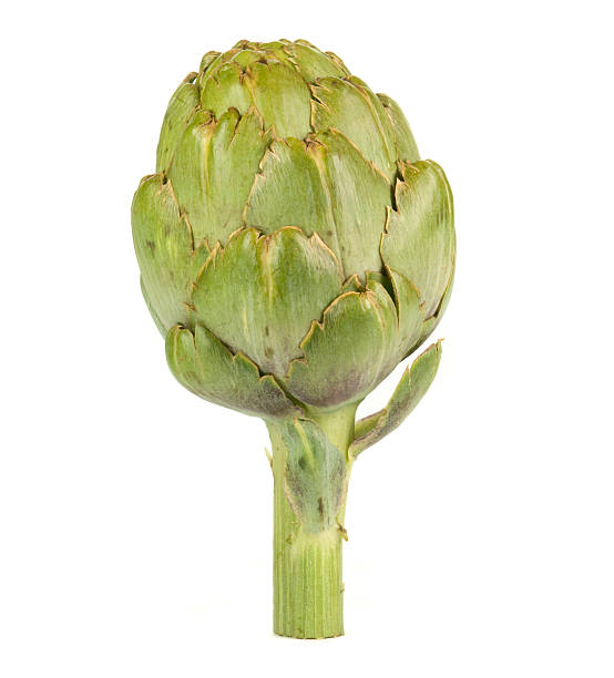 artichoke artichoke isolated on white Artichoke stock pictures, royalty-free photos & images