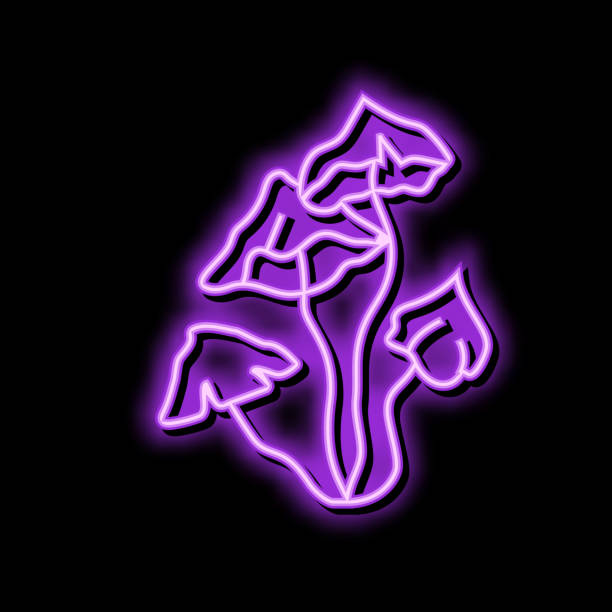 istock psychedelic drug mushroom neon glow icon illustration 1476683900