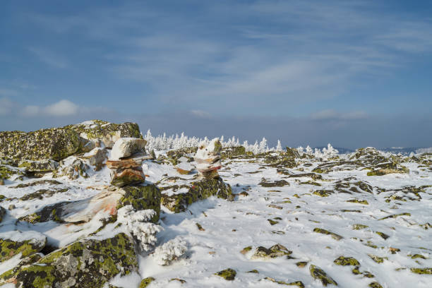istock winter landscape with trees and snow 1476684213