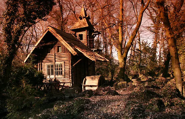 A small wooden water-mill in a forest