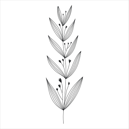 Black silhouette of a plant branch. Flower branch in outline style hand drawn on isolated white background. Vector stock illustration. Minimal line art for print, cover or tattoo. Tropical leaves.