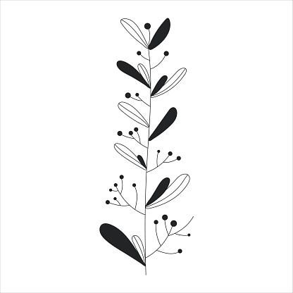 Black silhouette of a plant branch. Flower branch in outline style hand drawn on isolated white background. Vector stock illustration. Minimal line art for print, cover or tattoo. Tropical leaves.