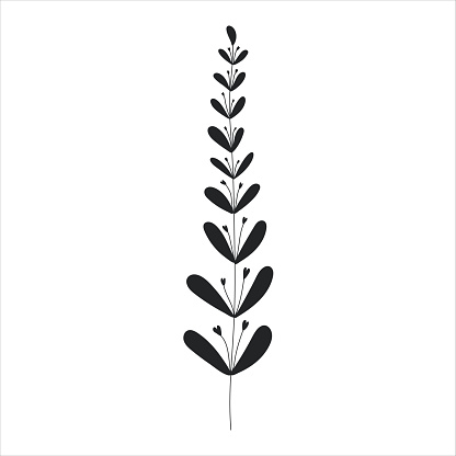 Black silhouette of a plant branch. Flower branch in outline style hand drawn on isolated white background. Vector stock illustration. Minimal line art for print, cover or tattoo. Tropical leaves.