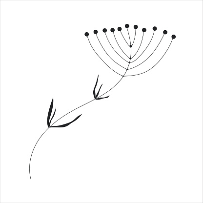 Black silhouette of a plant branch. Flower branch in outline style hand drawn on isolated white background. Vector stock illustration. Minimal line art for print, cover or tattoo. Tropical leaves.