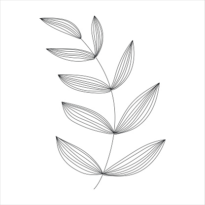 Black silhouette of a plant branch. Flower branch in outline style hand drawn on isolated white background. Vector stock illustration. Minimal line art for print, cover or tattoo. Tropical leaves.