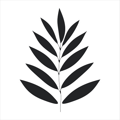 Black silhouette of a plant branch. Flower branch in outline style hand drawn on isolated white background. Vector stock illustration. Minimal line art for print, cover or tattoo. Tropical leaves.