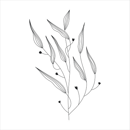 Black silhouette of a plant branch. Flower branch in outline style hand drawn on isolated white background. Vector stock illustration. Minimal line art for print, cover or tattoo. Tropical leaves.