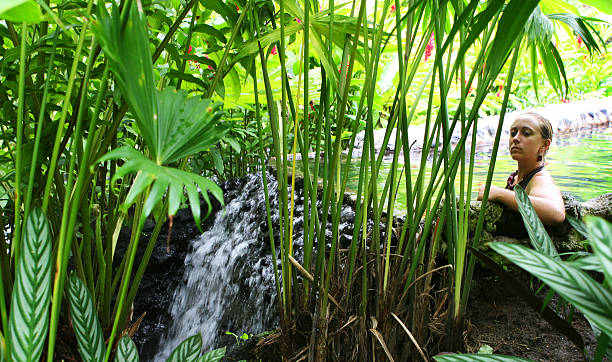 sources chaudes de la piscine tropicale - tropical climate waterfall formal garden ornamental garden photos et images de collection