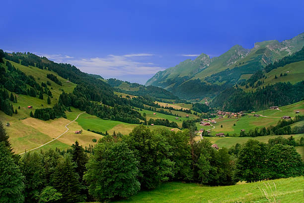 nahe gruyeres, canton von freiburg in der schweiz - gruyeres stock-fotos und bilder