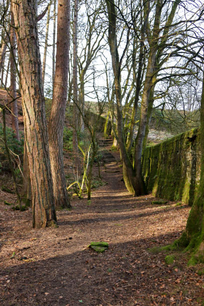 istock Tree lined footpath in dappled light in Oakworth Park, Keighley, Yorkshire 1476694424