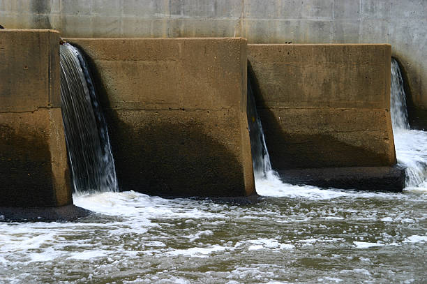 istock Reedy River, Greenville, SC 147669576