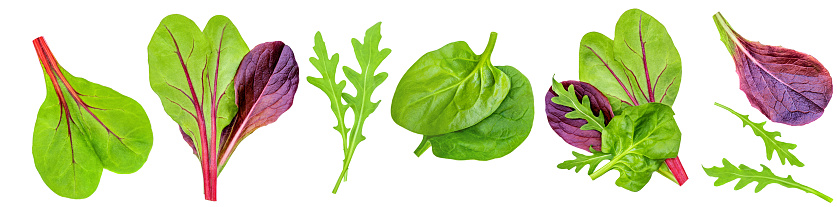Salad leaves Collection. Isolated Mixed Salad leaves with Spinach, Frisee, Chard, lettuce, rucola on white background. Flat lay. Creative layout. Pattern