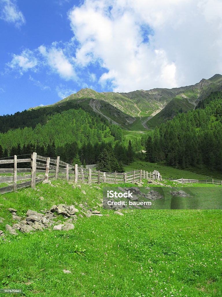 Tirol - Lizenzfrei Agrarbetrieb Stock-Foto