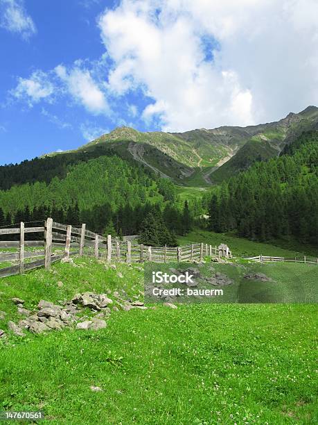 Tirol Stockfoto und mehr Bilder von Agrarbetrieb - Agrarbetrieb, Bakelit, Berg