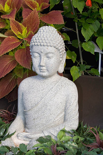 istock Buddha In the Garden 147670862