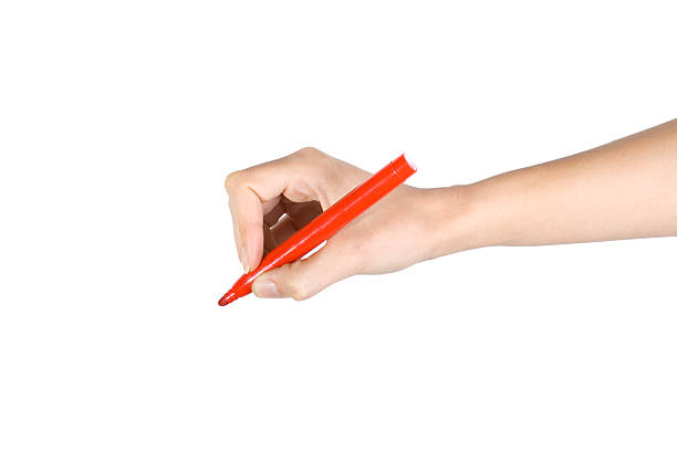 istock Female hand with a marker 147671023