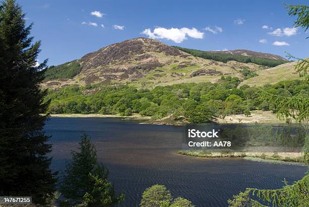 Socttish Lago - Fotografias de stock e mais imagens de Dumfries e Galloway - Dumfries e Galloway, Floresta, Ao Ar Livre