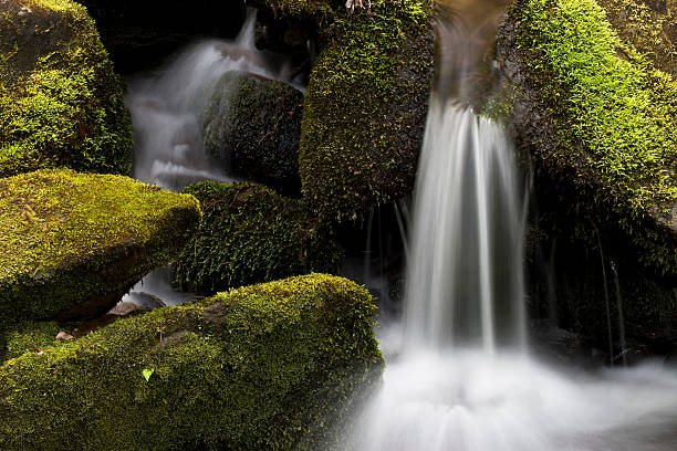 istock Waterfall detail  Great Smoky Mountains. 147671290