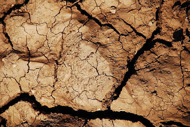 Detail cracked earth stock photo