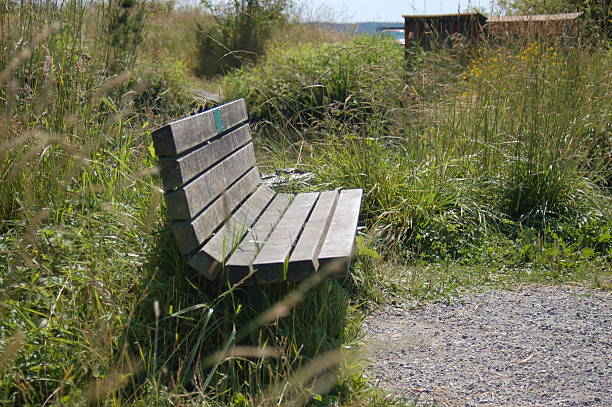 Bench by the side of trail stock photo